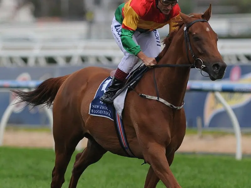 Happy Trails Happy Trails Racehorse