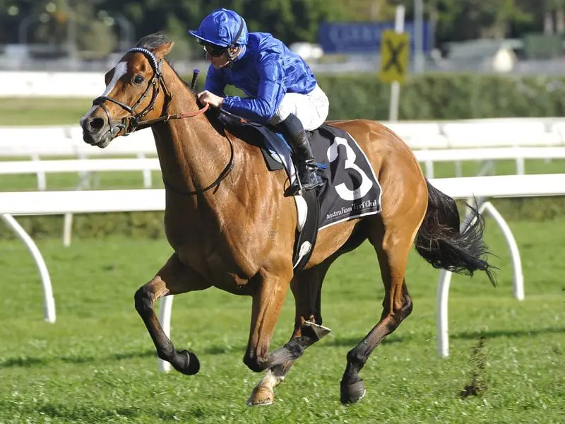 Hartnell Hartnell Racehorse