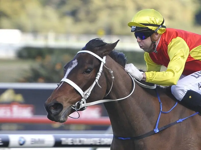 Omei Sword Omei Sword Racehorse