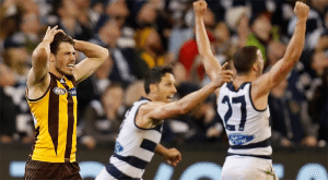 AFL Cats flag odds