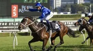 Winx