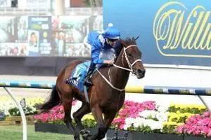 Winx horse