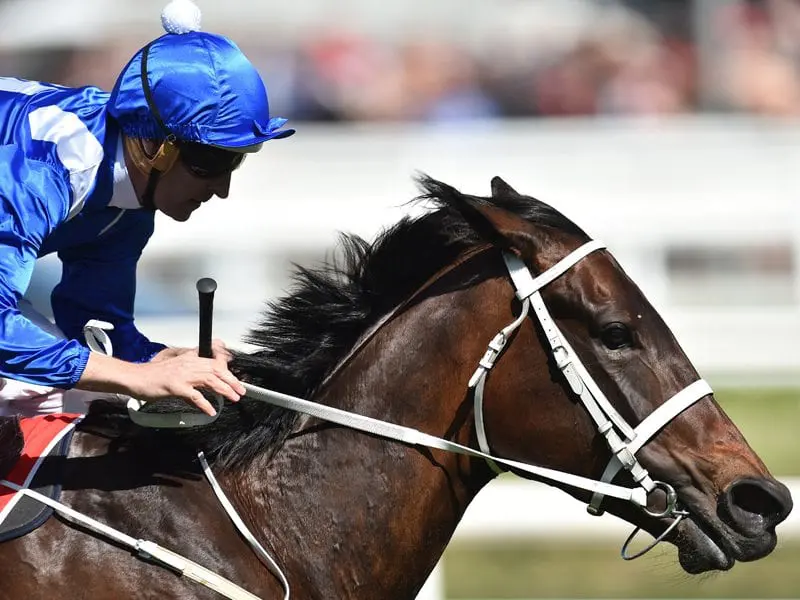 Winx Winx Horse