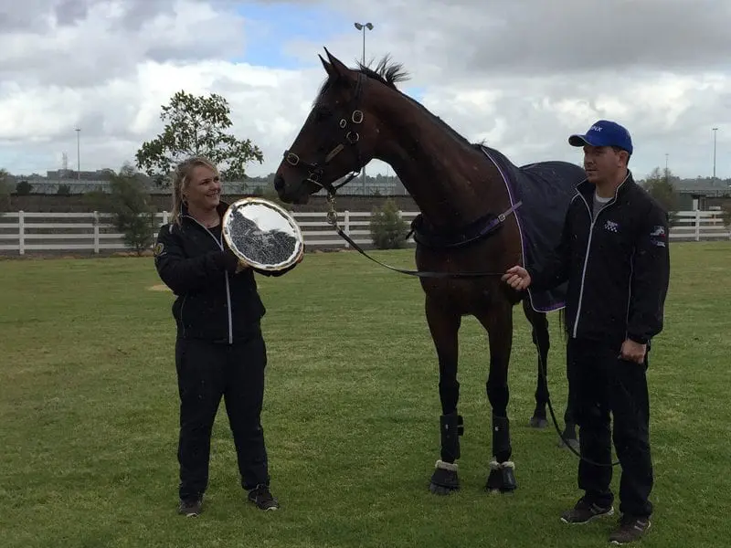Winx 2016 Cox Plate Winner Winx 2016 Cox Plate