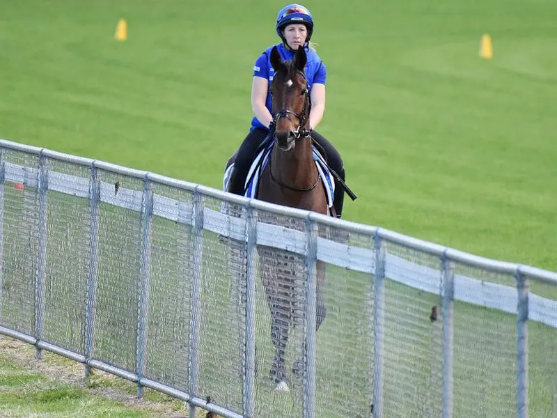 Oceanographer Horse Oceanographer