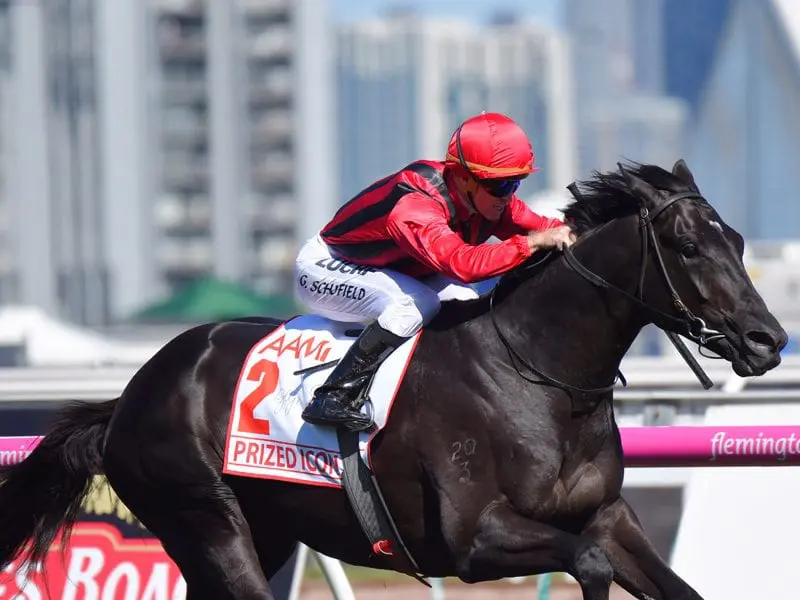 Prized Icon Horse Prized Icon