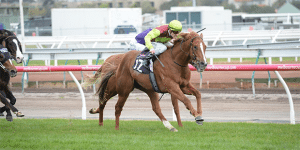 Bon Aurum feature