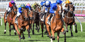 Harntell wins Turnbull Stakes