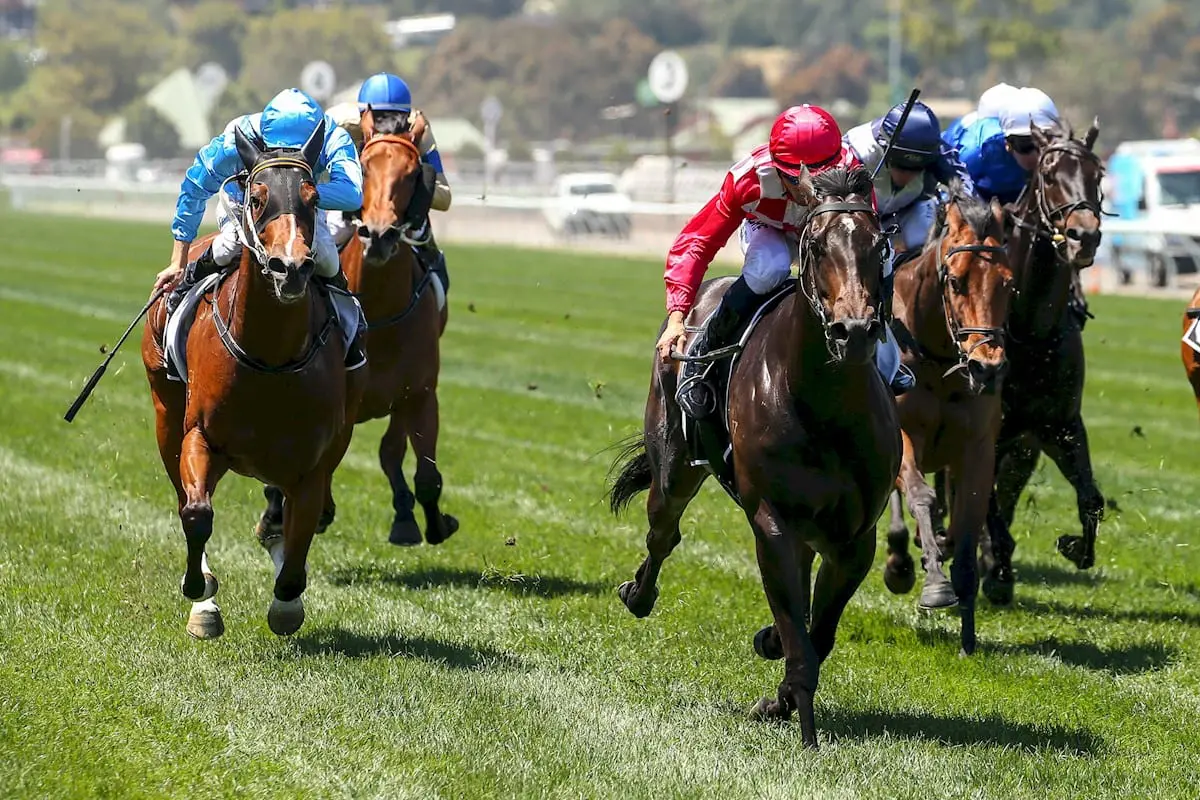 Sheidel ridden by Joao Moreira (HK) wins Sensis Stakes at Flemington Racecourse on October 29, 2016 in Flemington, Australia. (Pat Scala/Racing Photos)