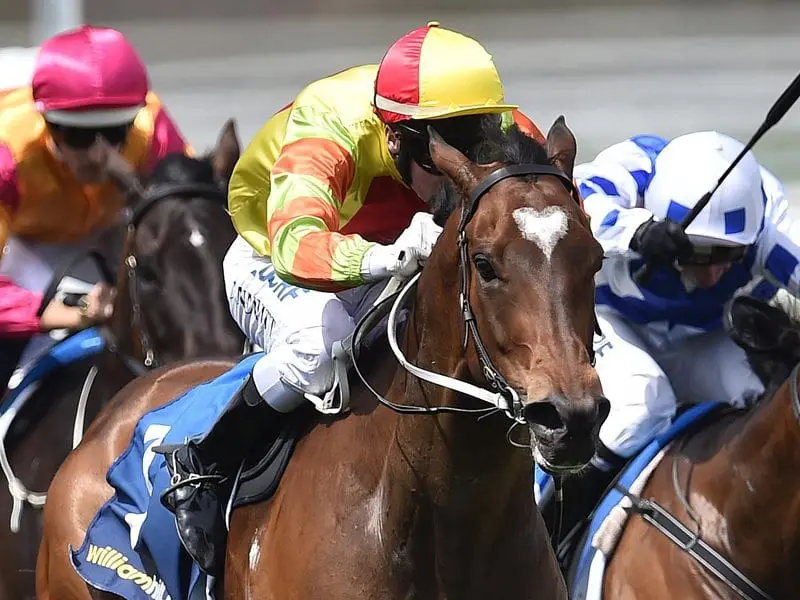 Lankan Rupee Lankan Rupee Horse