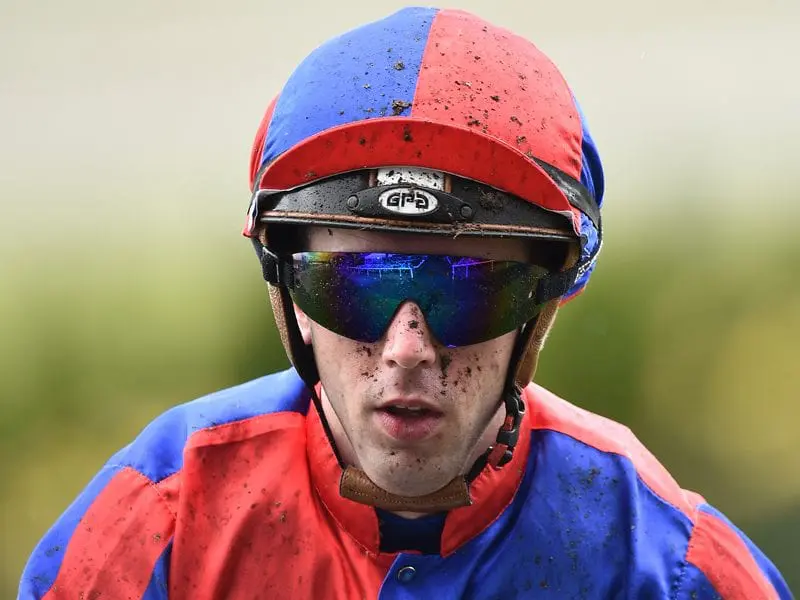 Brenton Avdulla Brenton Avdulla Jockey