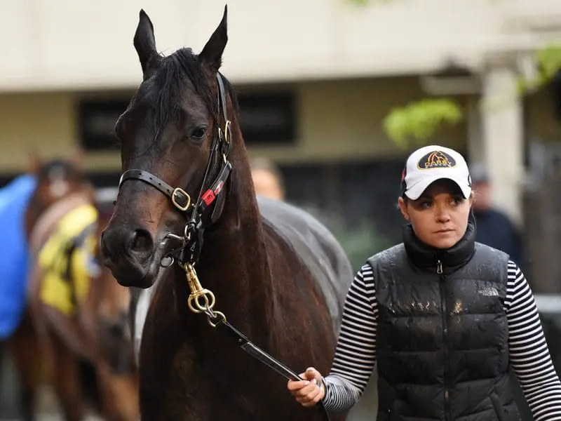 Yankee Rose