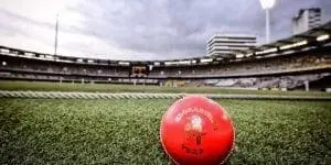 Pink Ball test