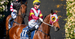 Brenton Avdulla kicked in barrier