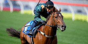 Capitalist betting stud