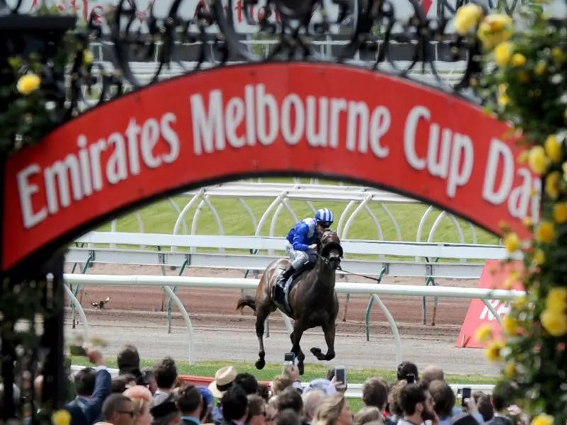 Madeenaty during Race 1 of Melbourne Cup Day 2016