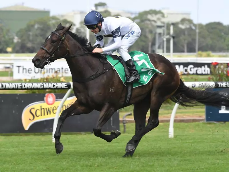 the Gary Portelli-trained She Will Reign