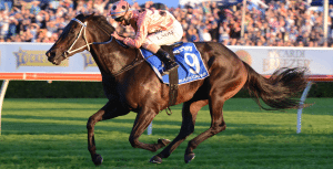 Black Caviar winning streak