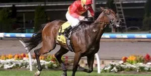 Malaguerra wins the 2017 Browns Australia Stakes