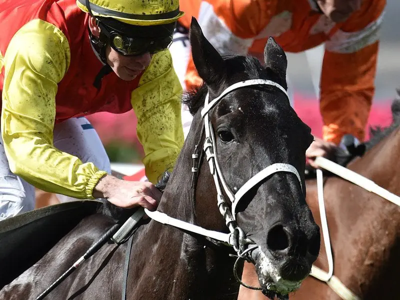 Grand Marshal ridden by Joao Moreira