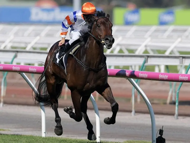 Hey Doc ridden by Luke Currie