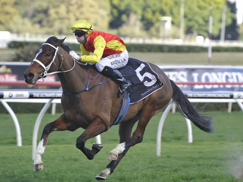 Omei Swor, trained by Chris Waller