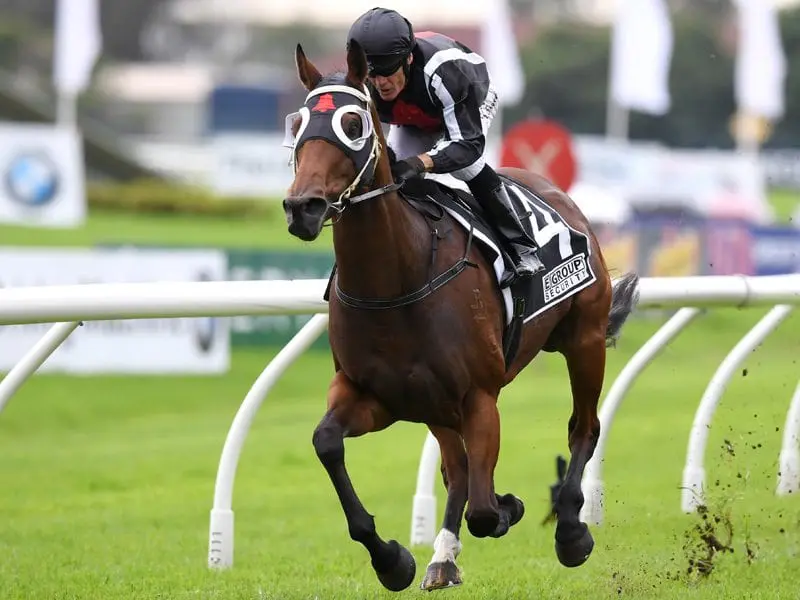 Jockey Kevin Forrester riding Jungle Edge