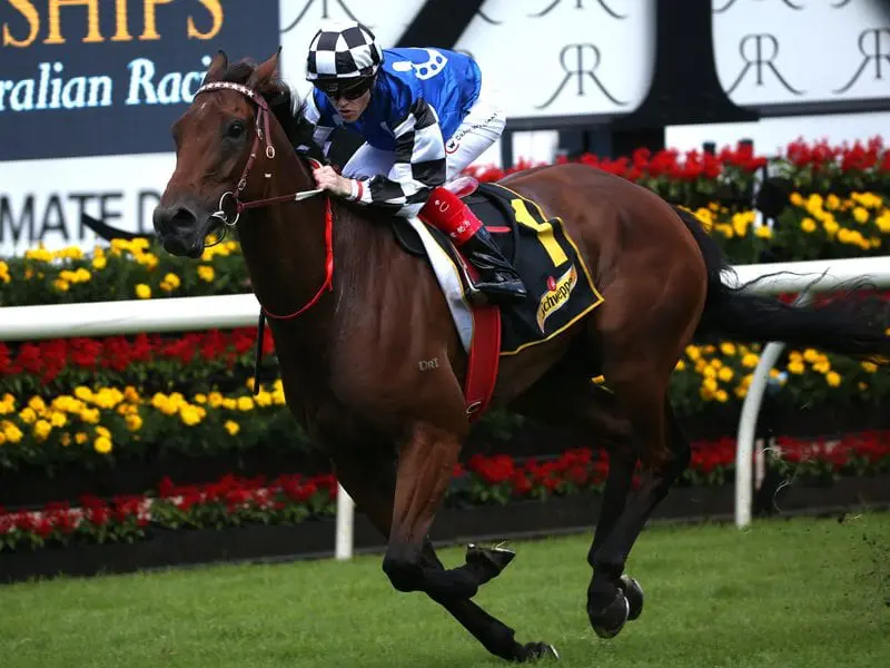 Big Duke ridden by Craig Williams