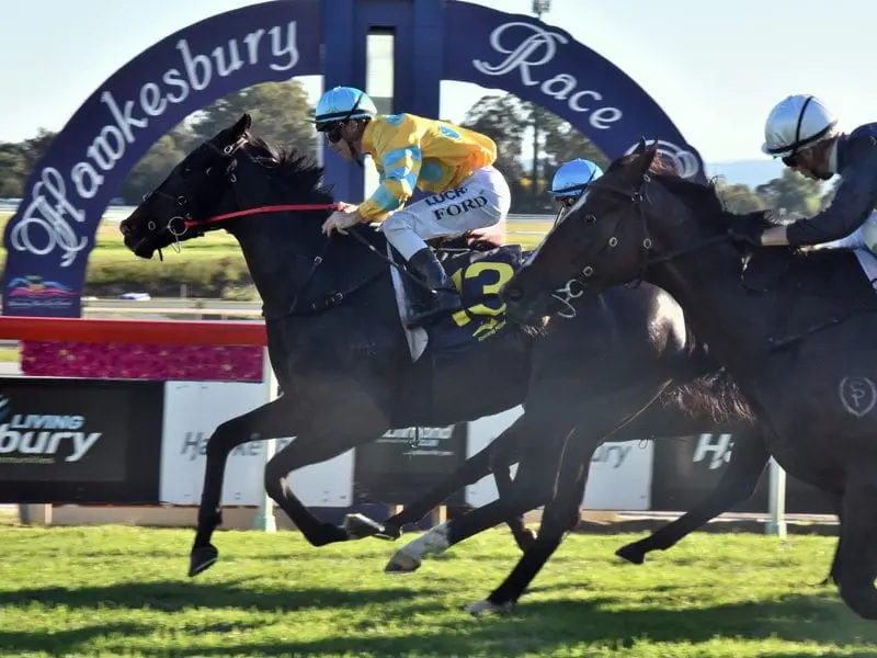 Shazee Lee winning the Group Three Hawesbury Guineas