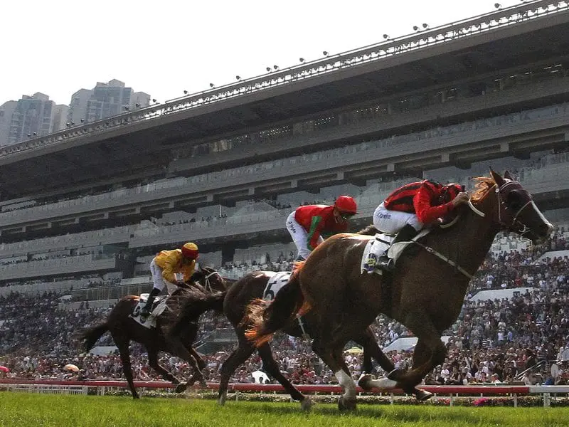 The John Moore-trained Eagle Way at Sha Tin Racecourse