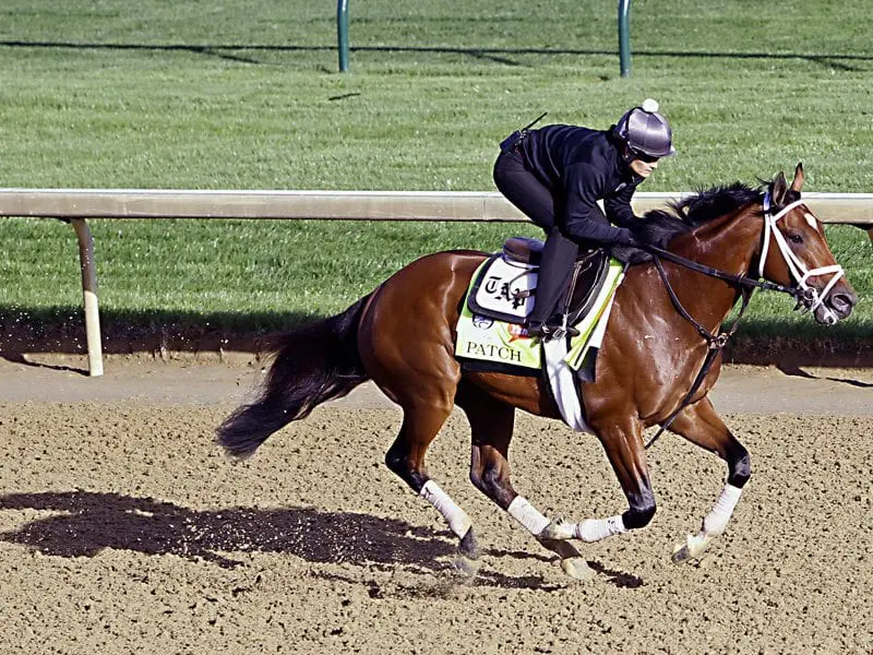 Exercise rider Isabelle Bourez guides Kentucky Derby hopeful Patch