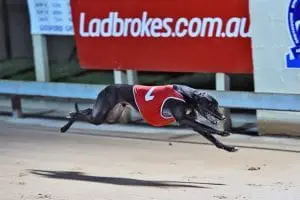 Ladbrokes sponsorship