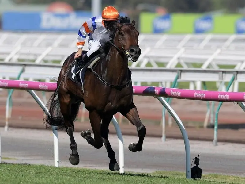 Hey Doc, ridden by Luke Currie, wins the Australian Guineas