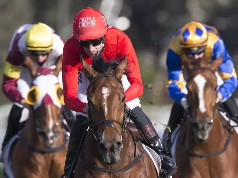 GOLD SYMPHONY ridden by Hugh Bowman