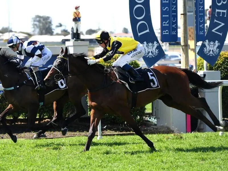 Jockey Ron Stewart (right) rides Ingeegoodbe