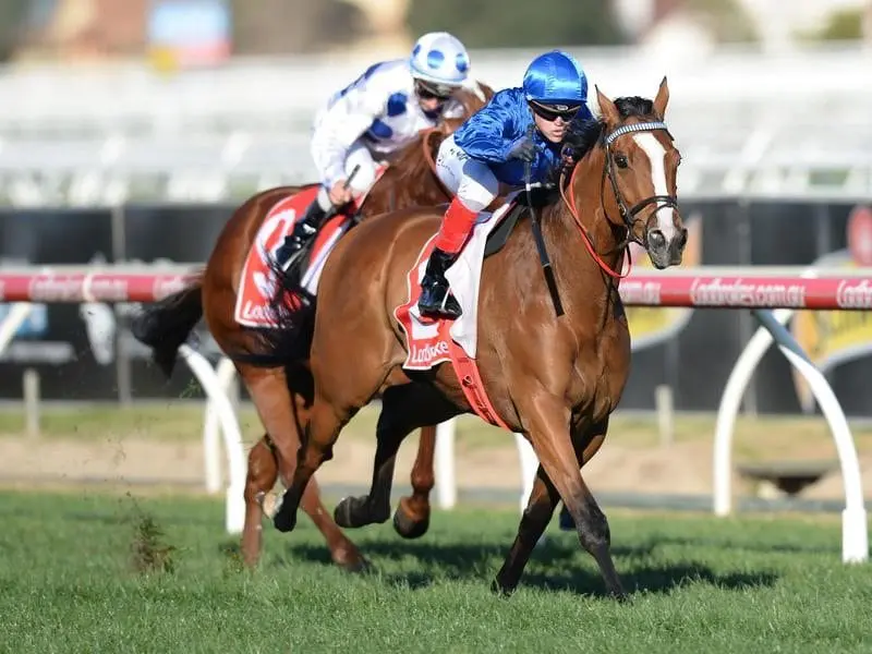 Jockey Craig Williams on Hartnell wins during Race 7.