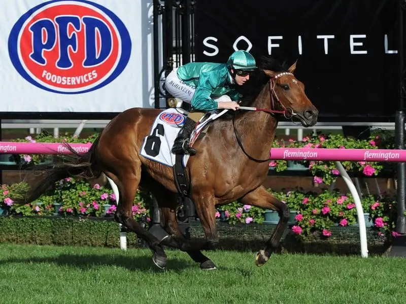 Jockey Damian Lane riding Humidor to win race 7.