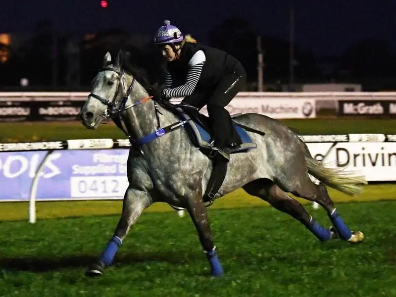 Chautauqua returns at Randwick