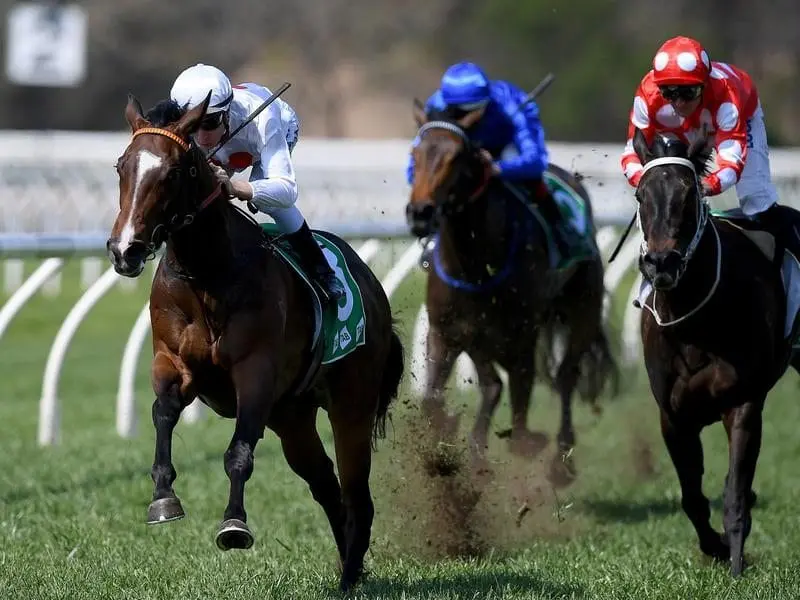 Memento ridden by Blake Shinn