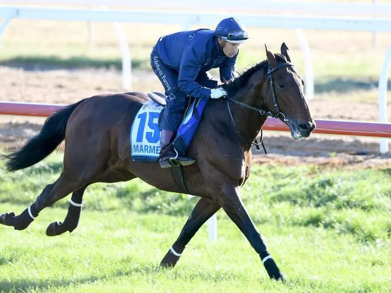 CAULFIELD CUP BOWMAN