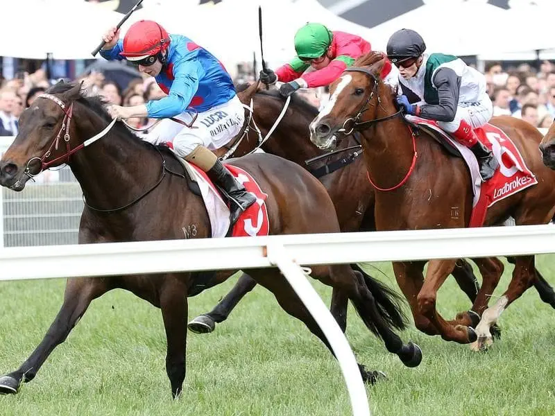 Damian Lane wins on Ulmann at Caulfield.