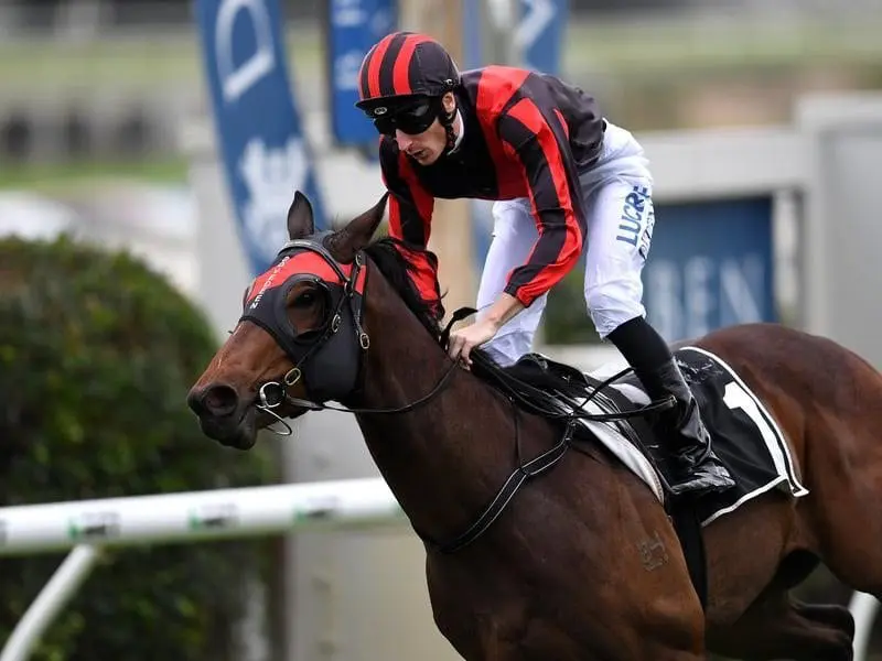 Hopes Eternal wins 2yo race at Doomben.