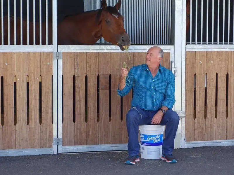 trainer Robert Heathcote with Hopfgarten