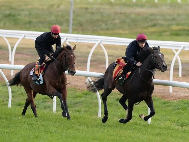 aidan o'brien