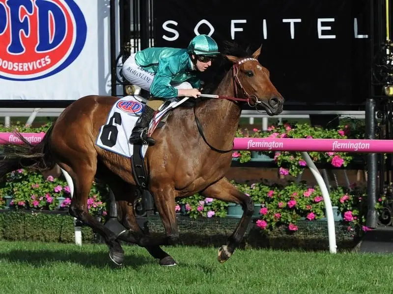 Jockey Damian Lane riding Humidor