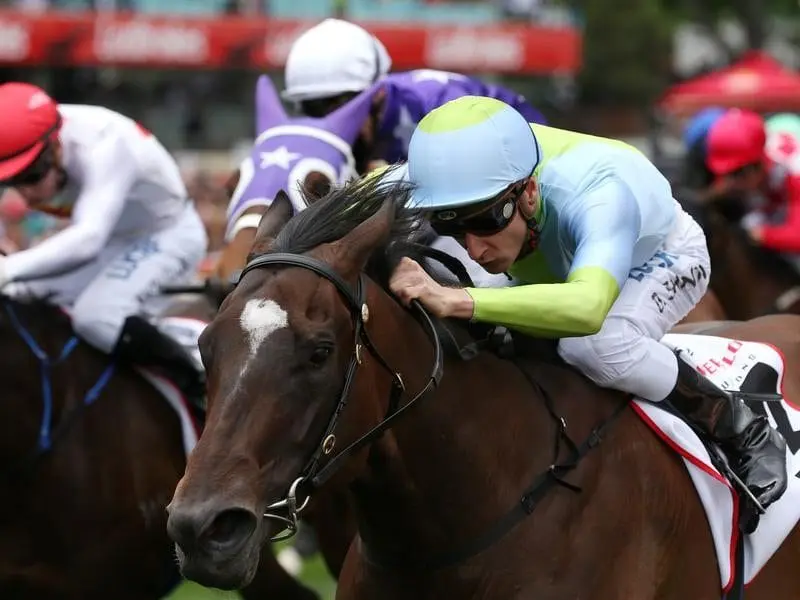 Blake Shinn rides Lubiton to victory at Moonee Valley.