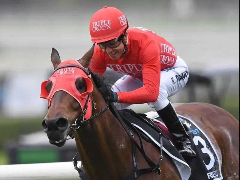 Redzel in winning form.