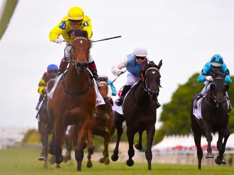 Blue Book wins at Doomben