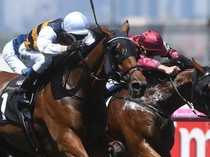 Fastnet Tempest wins at Flemington.