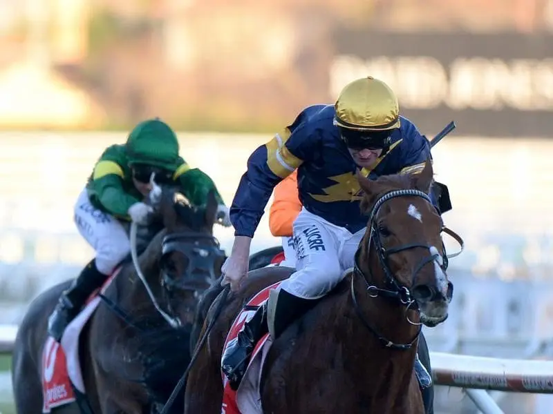 Imported galloper Radipole winning at Caulfield.